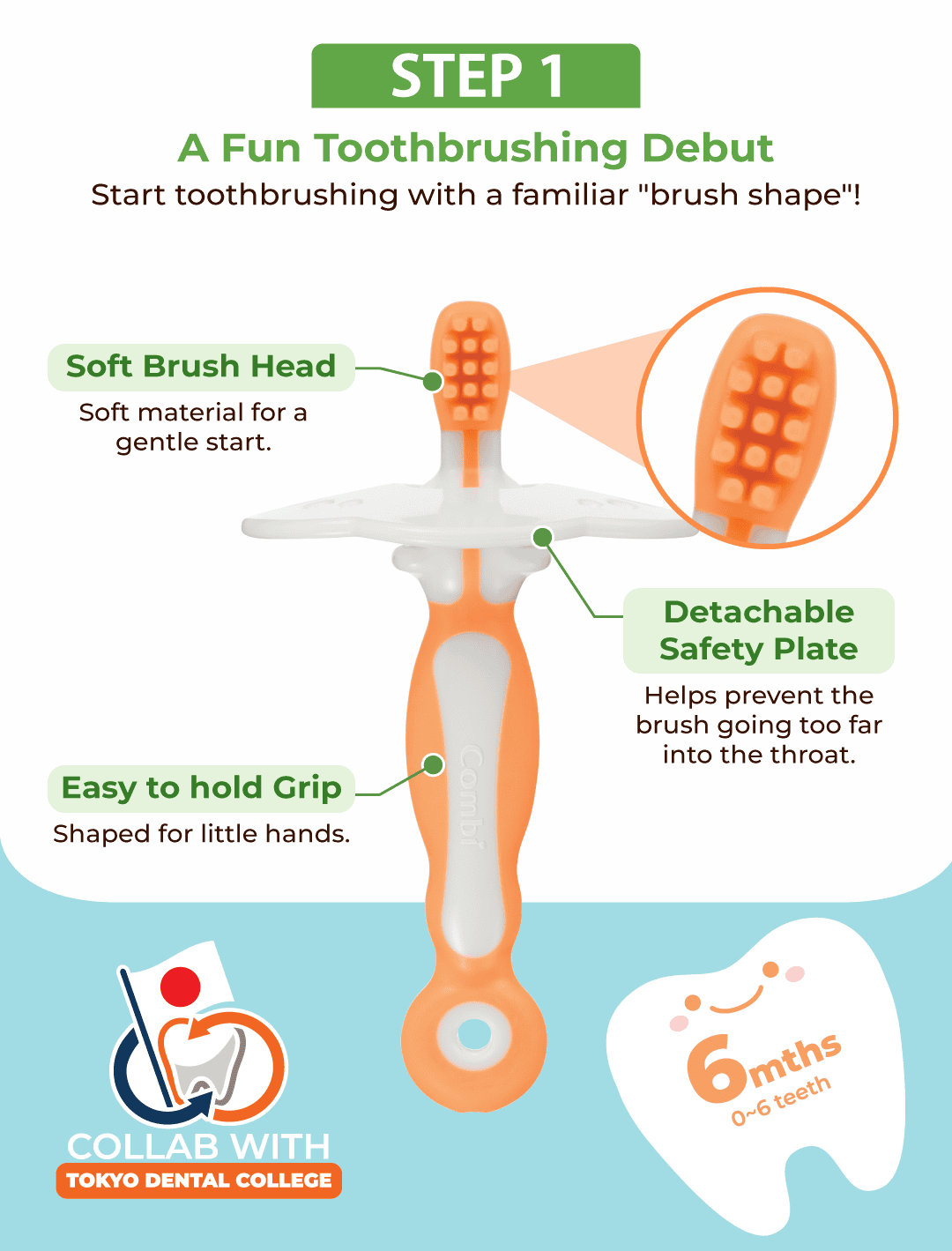 Combi Teteo toothbrush Steps 1, showing the features of the brush bristle and detachable safety plate.