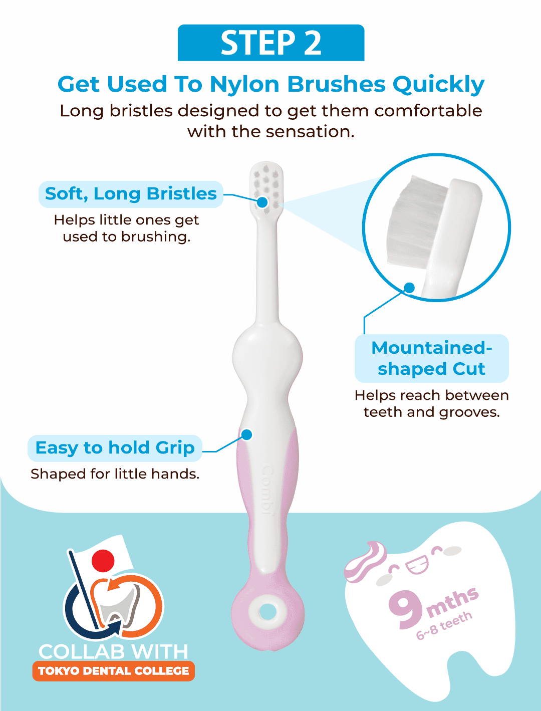 Combi Teteo toothbrush Steps 2, showing the features of the brush bristle