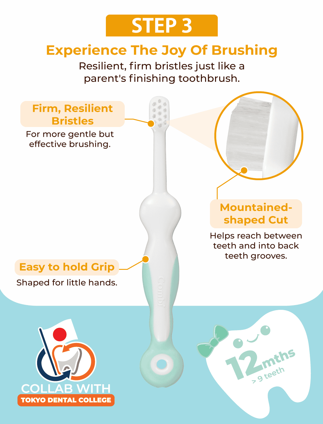 Combi Teteo toothbrush Steps 3, showing the features of the brush bristle