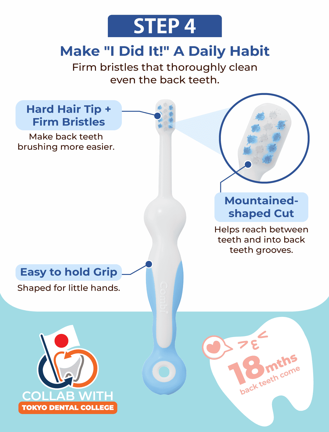 Combi Teteo toothbrush Steps 4, showing the features of the brush bristle