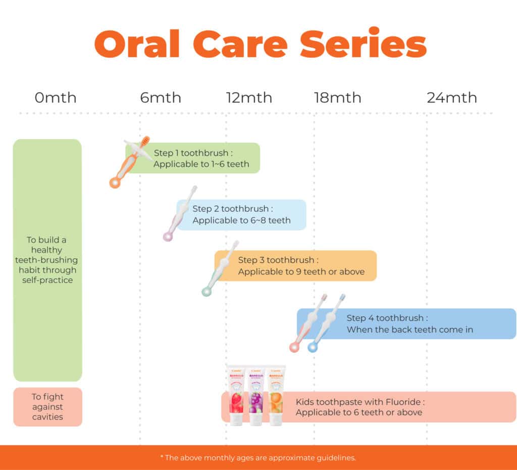 Combi Teteo oral-care chart matching toothbrush Steps 1–4 and fluoride toothpaste to tooth development, with approximate age guidelines.