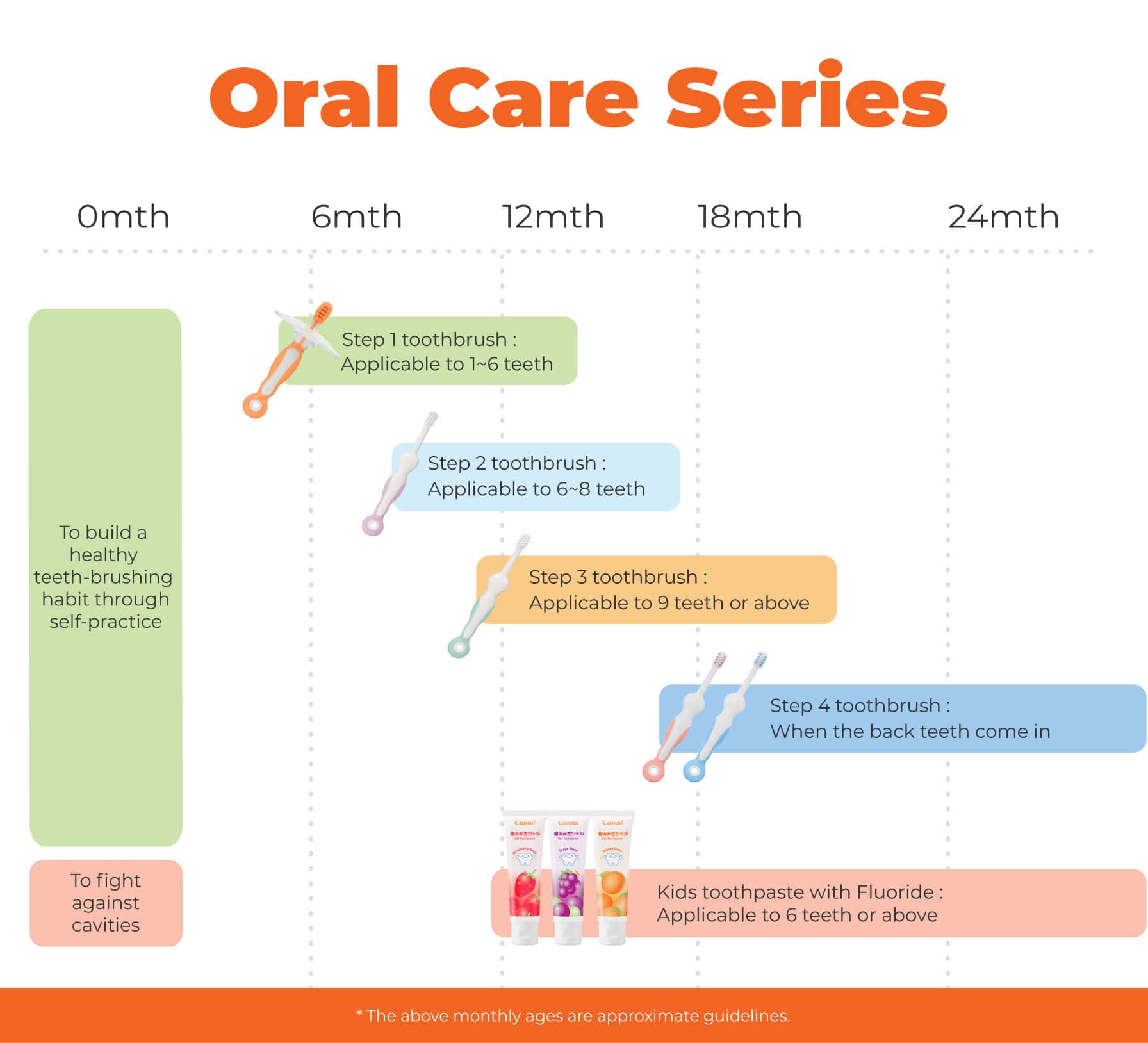 Combi Teteo oral-care chart matching toothbrush Steps 1–4 and fluoride toothpaste to tooth development, with approximate age guidelines.